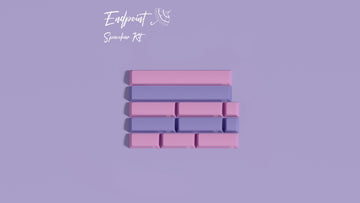 【IN STOCK】 Keycaps-MW Endpoint