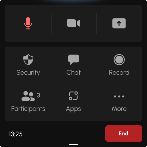 Meeting Controls complete interface