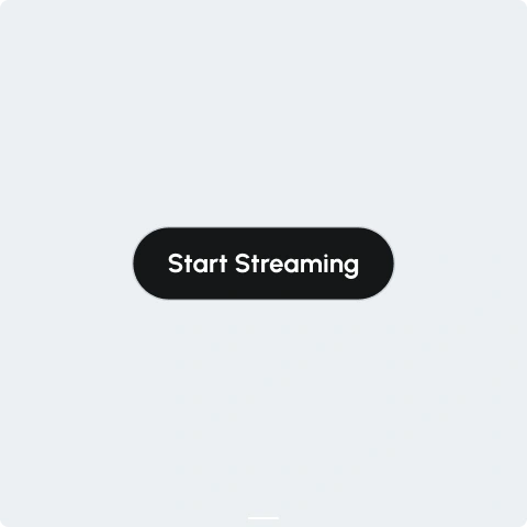 Screen Mirroring complete interface