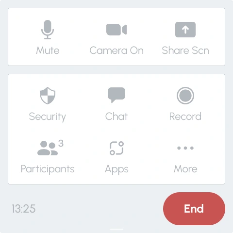 Meeting Controls complete interface
